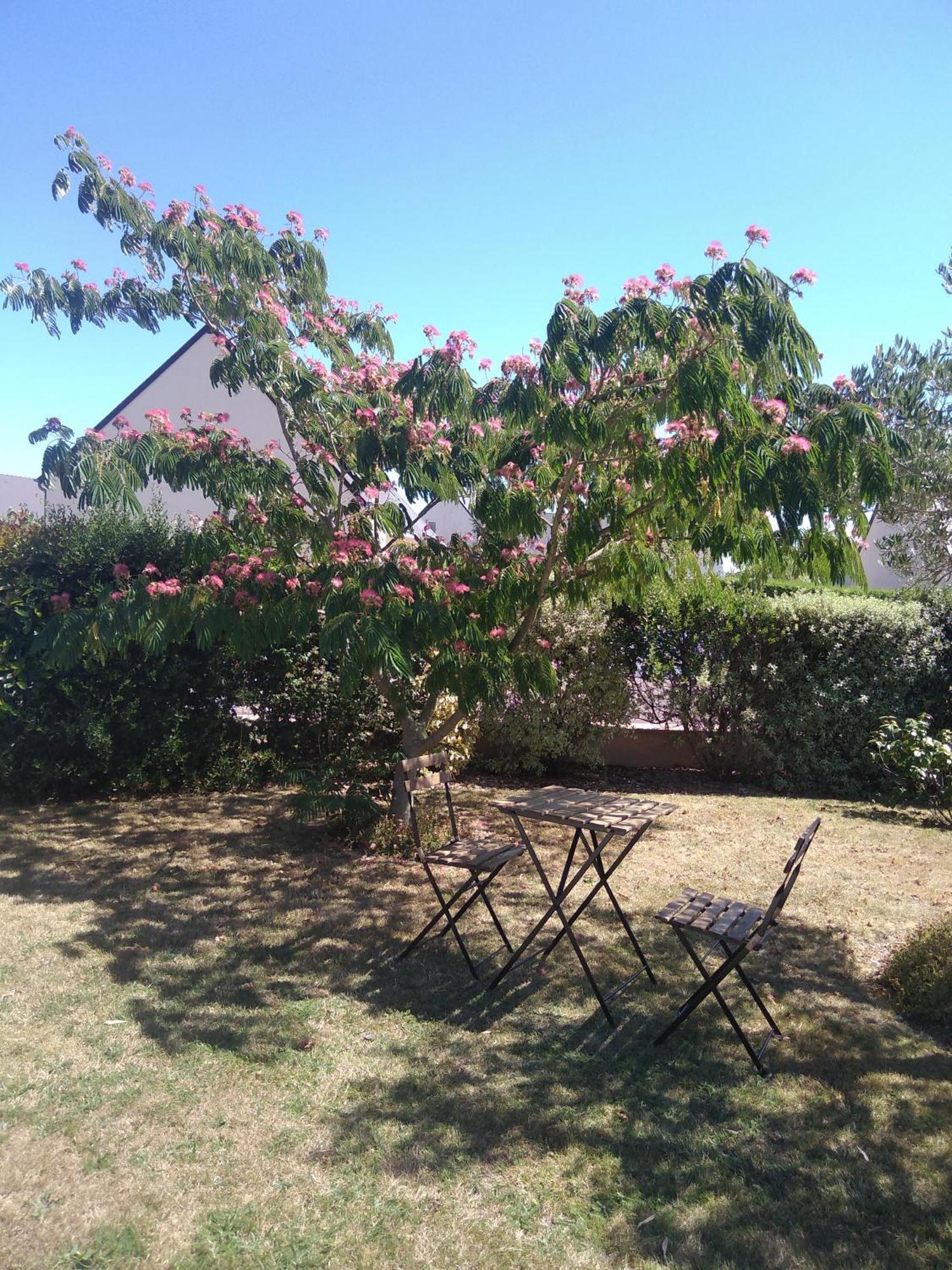 Chambre Carentan Les Marais Aux Calme Tres Reposant Saint-Hilaire-Petitville Exteriör bild